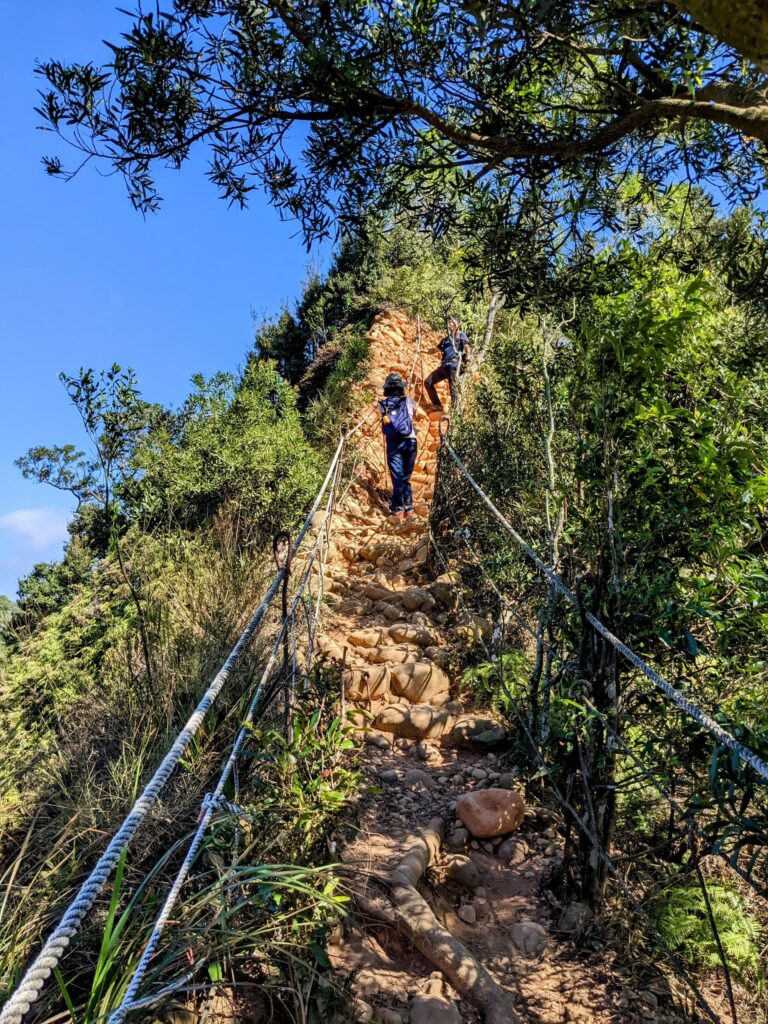 火炎山步道接近山頂處的木階梯陡坡路段